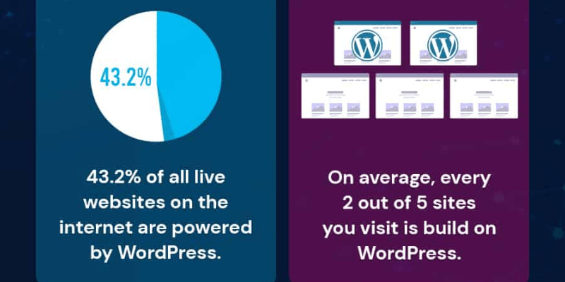 Statistics Data for WordPress Usage