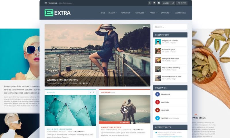 Best WordPress Themes for Blogs: Extra