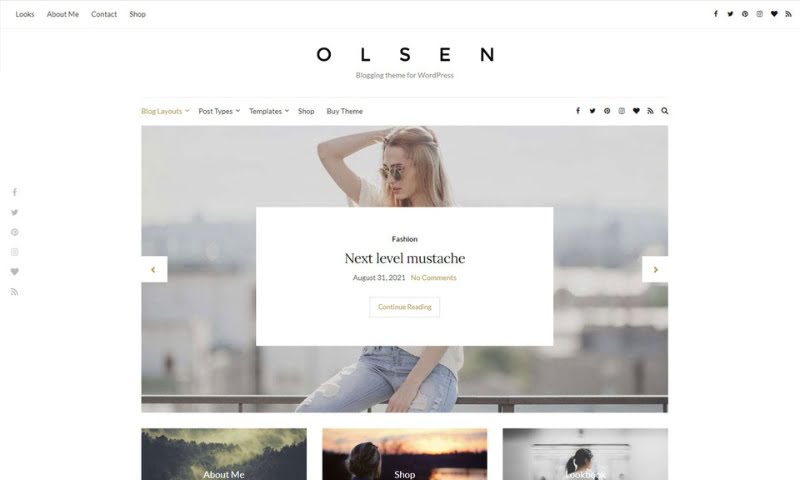 Best WordPress Themes for Blogs: Olsen