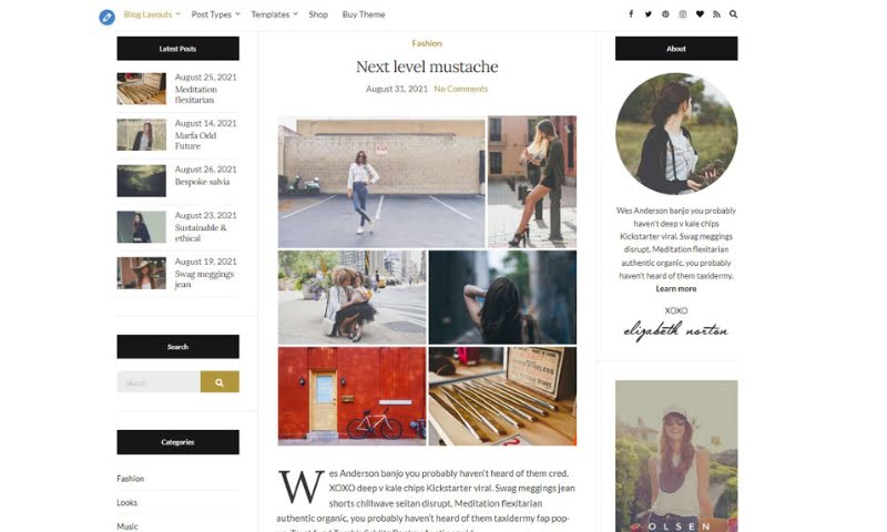 Best WordPress Themes for Blogs: Olsen