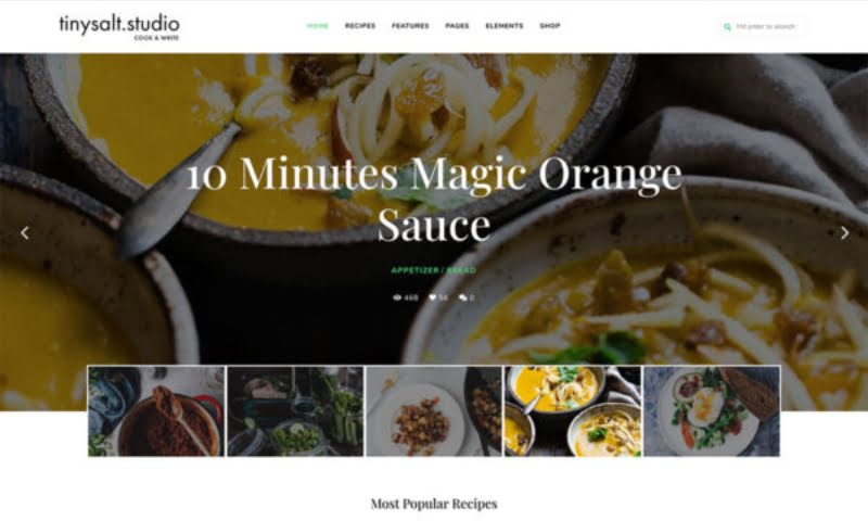 Best WordPress Themes for Blogs: TinySalt